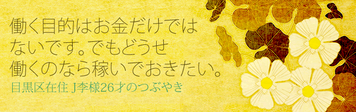 働く目的がお金だけではないです。どうせ働くのなら稼いでおきたい。