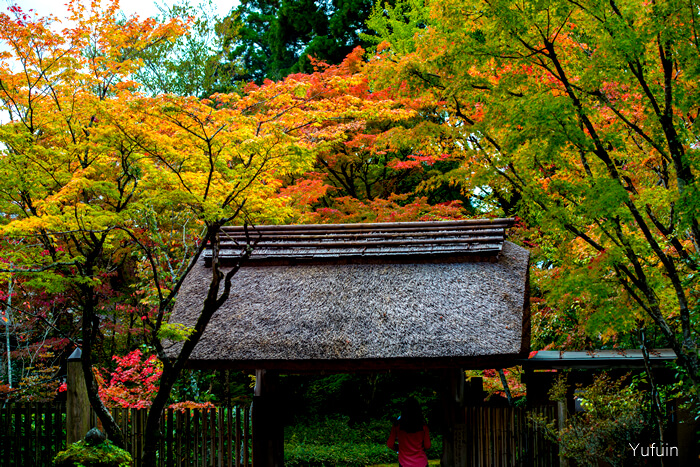 湯布院