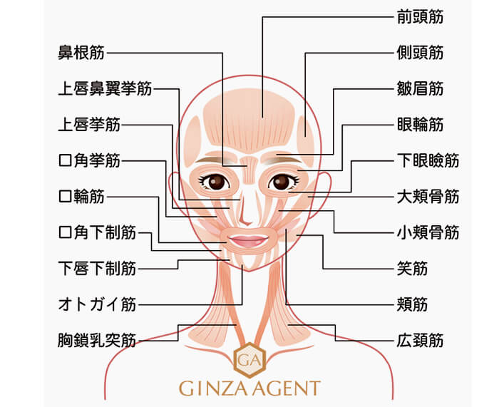 つくられた表情ではなく清らかさから生まれる超自然的な表情は剣がなく艶やか